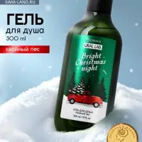 Гель для душа, 300 мл, Bright Christmas night, аромат: хвойный лес, Ural Lab Winter Melody