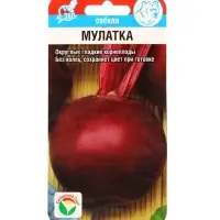 Семена Свекла &laquo;Мулатка&raquo;, 2 г, &laquo;Сибирский сад&raquo;