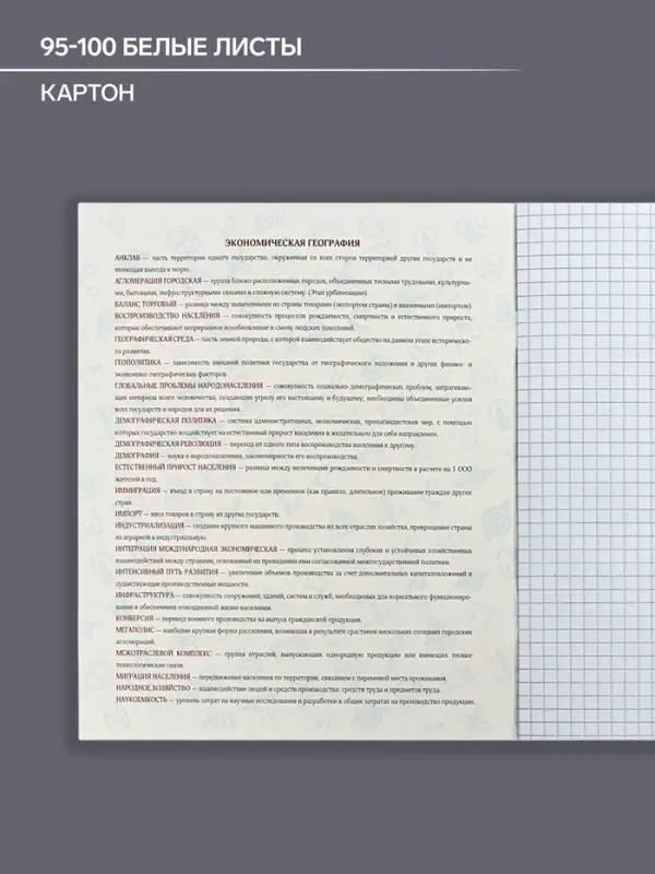 Тетрадь предметная 48 листов в клетку Calligrata, &laquo;Кеды. География&raquo; картонная обложка