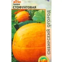 Семена Тыква "Стофунтовая" 6 шт Семена Тыква "Стофунтовая" 6 шт
