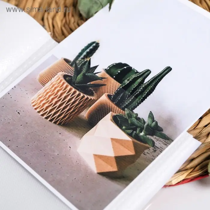 Фотоальбом на 36 фото 10×15 см «Лови вдохновение», в мягкой обложке Фотоальбом на 36 фото 10×15 см «Лови вдохновение», в мягкой обложке