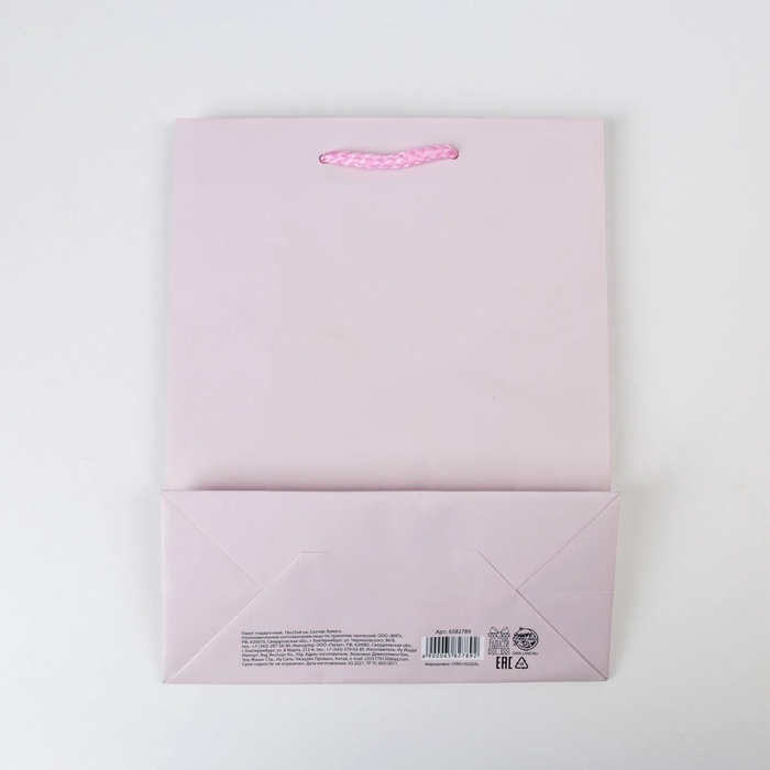 Пакет подарочный ламинированный, упаковка, «Розовый», MS 18 х 23 х 8 см