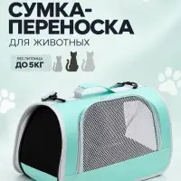 Сумка-переноска сетчатая, 41&times;26&times;26, голубая