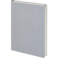 Ежедневник недатированный серебр, MEGAPOLIS А5, 142х214мм,320стр.3-281/07