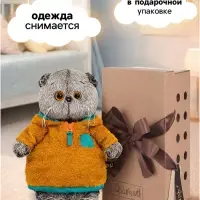 Мягкая игрушка &laquo;Кот Басик в анораке&raquo;, 22 см