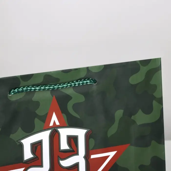 Пакет подарочный ламинированный, упаковка, «С 23 февраля», ML 25 х 21 х 8 см