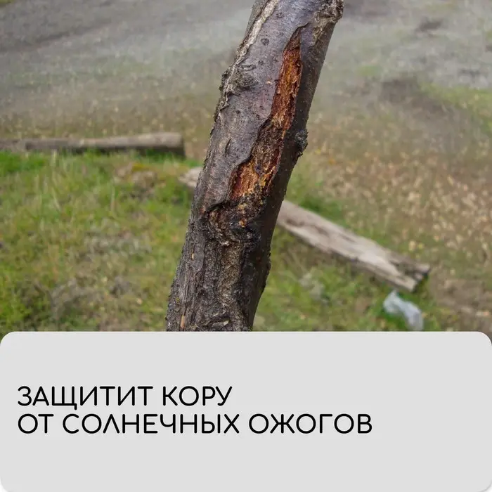 Лента для подвязки растений, 10×0.02 м, плотность 60 г/м², набор 2 шт., спанбонд с УФ-стабилизатором, белая, Greengo, Эконом 20% Лента для подвязки растений, 10×0.02 м, плотность 60 г/м², набор 2 шт., спанбонд с УФ-стабилизатором, белая, Greengo, Эконом 20%