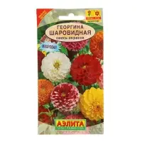 Семена цветов Георгина &laquo;Шаровидная&raquo;, смесь окрасок, 0.2 г