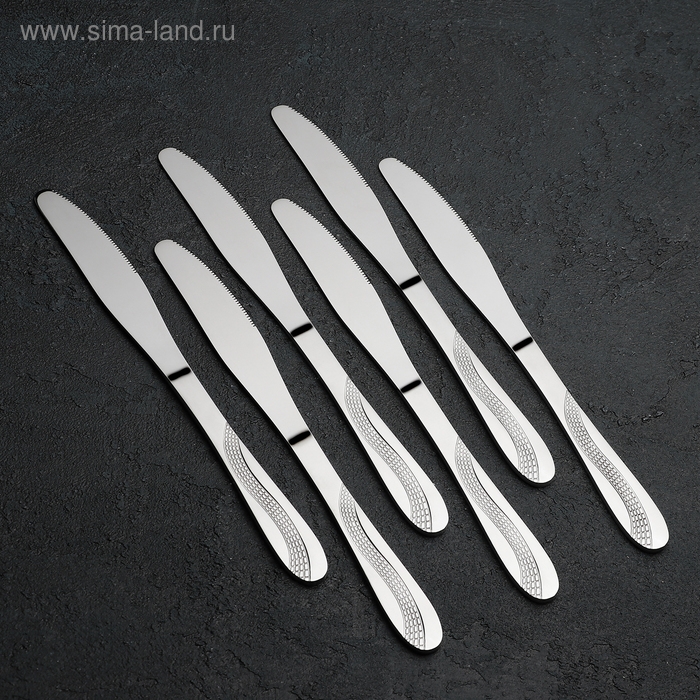 Набор столовых приборов из нержавеющей стали «Водопад», 24 предмета, на подставке, цвет серебряный Набор столовых приборов из нержавеющей стали «Водопад», 24 предмета, на подставке, цвет серебряный