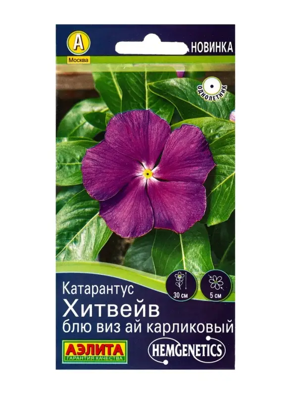 Семена цветов Катарантус Хитвейв блю виз ай карликовый Спецсерия Hem Genetics, Ц/П,5 шт. Семена цветов Катарантус Хитвейв блю виз ай карликовый Спецсерия Hem Genetics, Ц/П,5 шт.