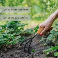 Рыхлитель, длина 25 см, деревянная ручка, Greengo