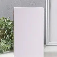 Сувенир полистоун "Будда - молчание золото" зелёный 4,7х6,8х14,5 см