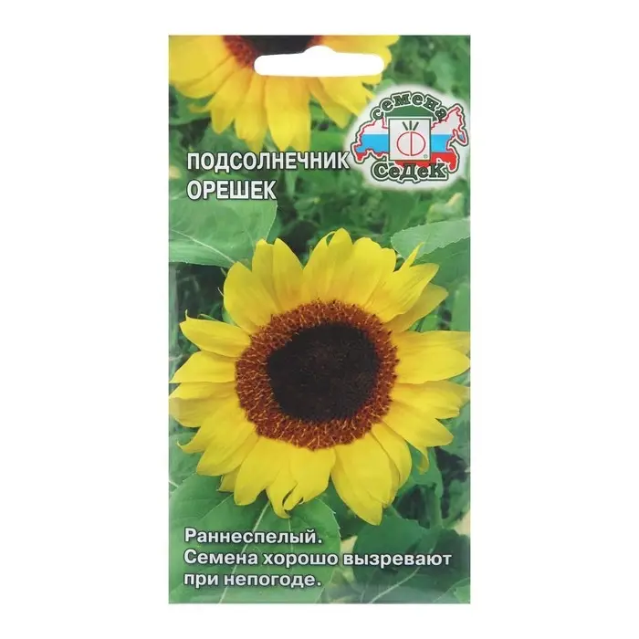 Семена Подсолнечник Семена Подсолнечник "Орешек", 5 г