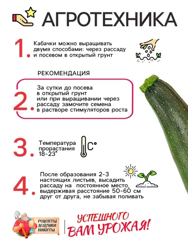 Семена Кабачок цуккини  Семена Кабачок цуккини "Фараон", 1 г