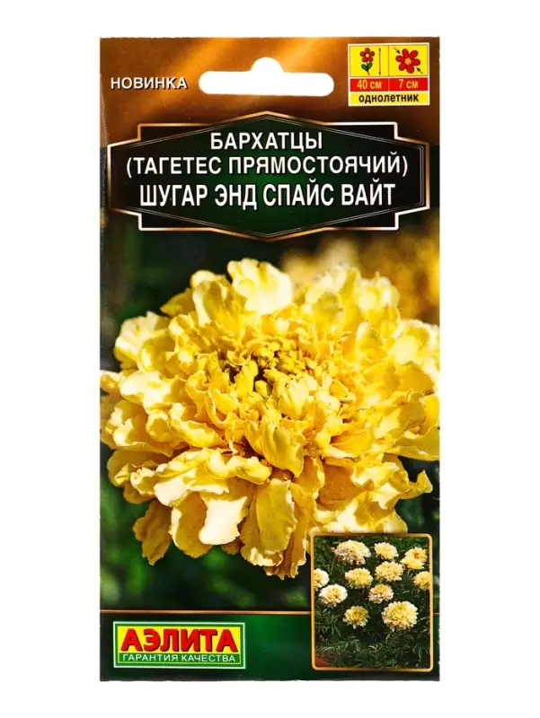Семена цветов Бархатцы Шугар энд спайс вайт прямостоячие Золотая серия, Ц/П,10 шт. Семена цветов Бархатцы Шугар энд спайс вайт прямостоячие Золотая серия, Ц/П,10 шт.