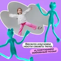 Развивающий набор &laquo;Лягушка-повторюшка&raquo;, 3+