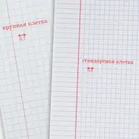 Тетрадь 12 листов в крупную клетку Calligrata "Пятёрка", обложка мелованный картон, ВД-лак, блок офсет, белизна 95%, МИКС