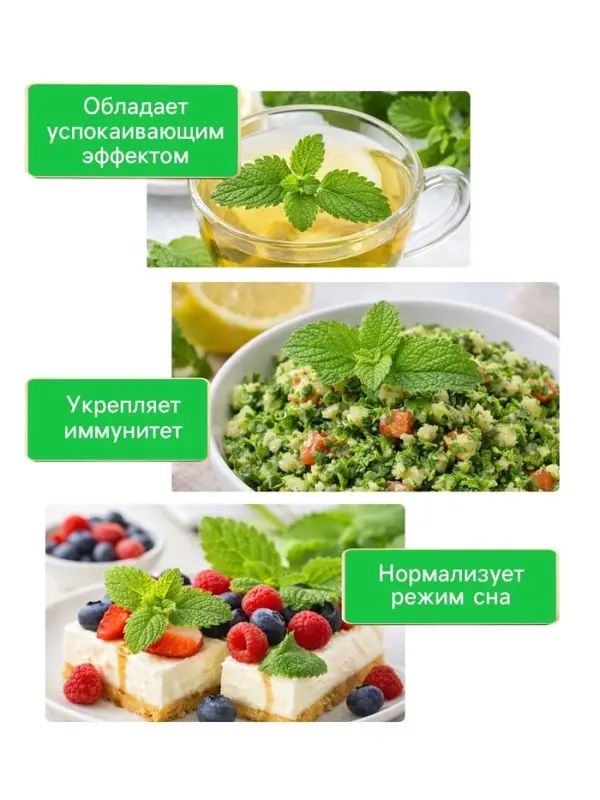 Семена Спаржа &laquo;Мария&raquo;, 5 г, &laquo;АЭЛИТА&raquo;
