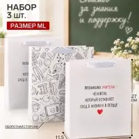 Пакеты подарочные &laquo;Любимому учителю&raquo;, набор 3 шт., ML 23&times;27&times;11.5 см