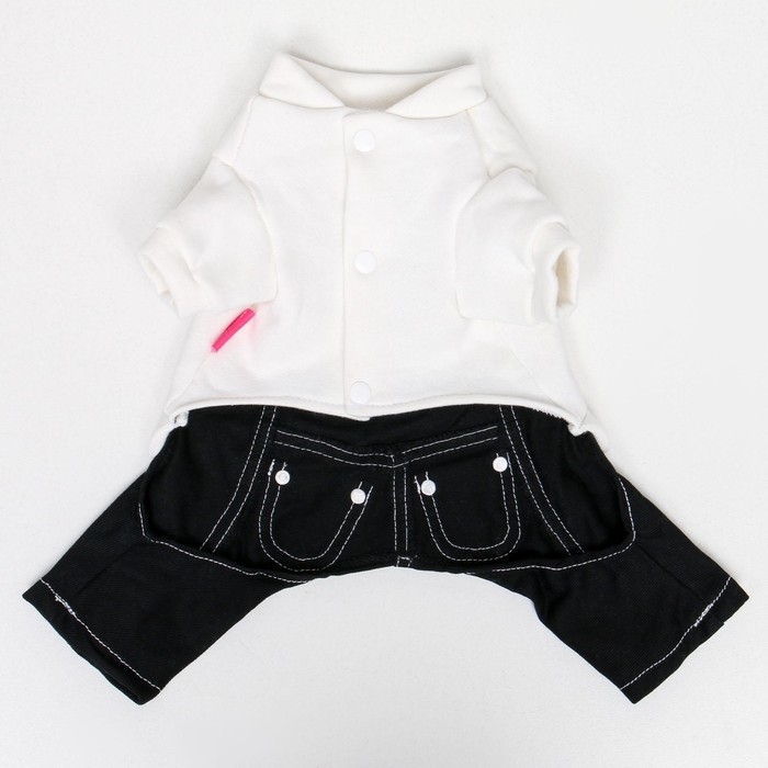 Комбинезон Комбинезон "Единорог", размер 18 (ДС 40 см, ОГ 50 см, ОШ 38 см), бело-синий