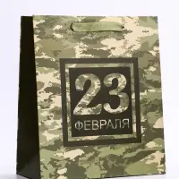 Пакет подарочный вертикальный &laquo;23 февраля&raquo;, ML 23&times;27&times;11.5 см