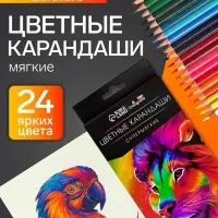 Карандаши Calligrata, цветные, 24 цвета, супермягкие, диаметр грифеля 3 мм, 5B