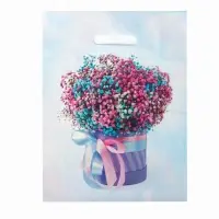 Пакет &laquo;Фьюжн&raquo;, полиэтиленовый с вырубной ручкой 31&times;40 см, 60 мкм