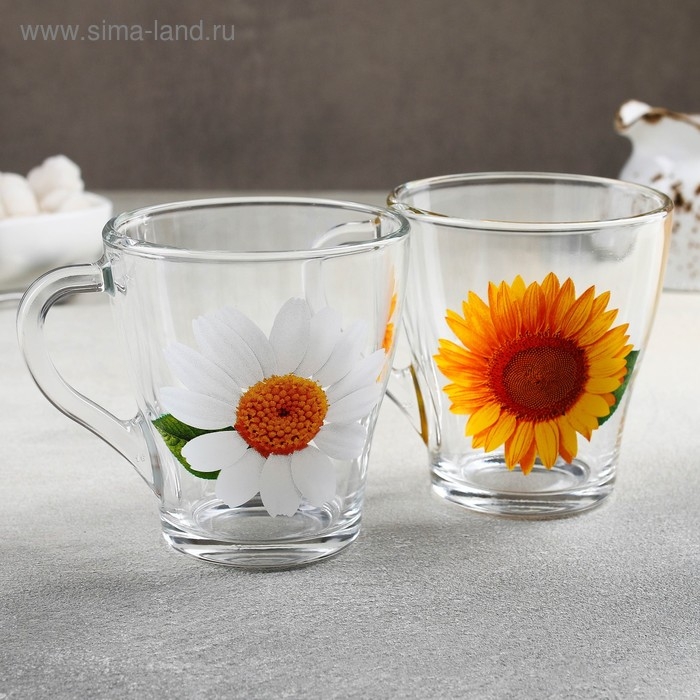 Кружка стеклянная «Коллекция цветов», 250 мл, рисунок МИКС