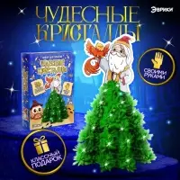 Выращивание кристаллов &laquo;Чудесные. Волшебник&raquo;, набор для опытов с реагентами