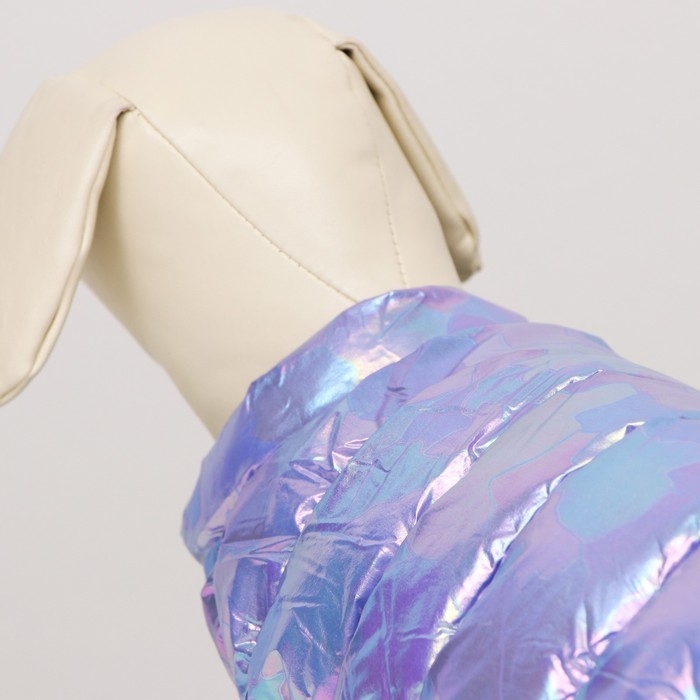 Куртка для собак двухсторонняя с утяжкой, размер 10 (ДС 25, ОГ 34,ОШ 24),фиолетовая/жёлтая Куртка для собак двухсторонняя с утяжкой, размер 10 (ДС 25, ОГ 34,ОШ 24),фиолетовая/жёлтая