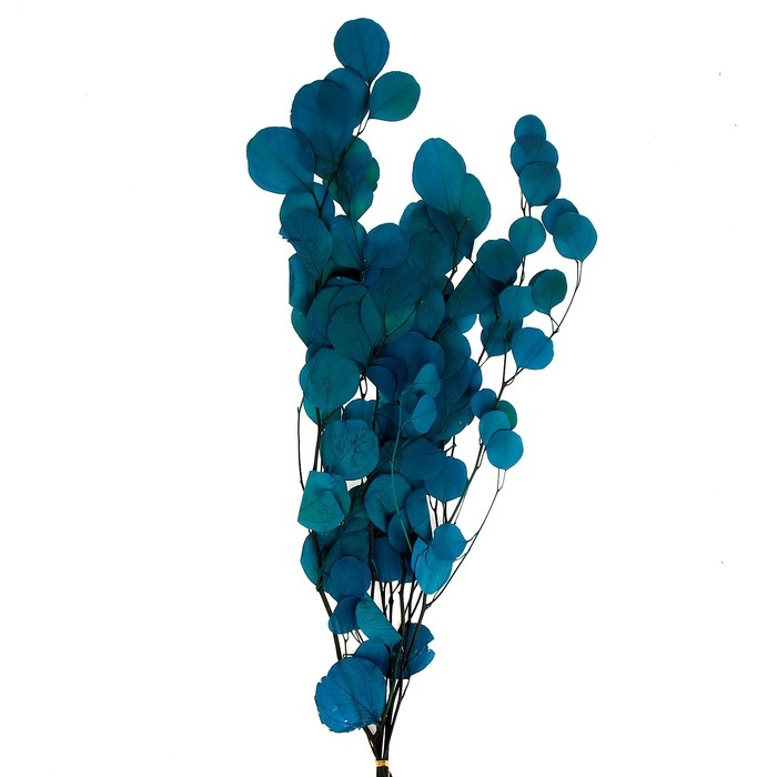 Сухоцвет персикого дерева, 50 г, длина — 70 см, цвет голубой Сухоцвет персикого дерева, 50 г, длина — 70 см, цвет голубой