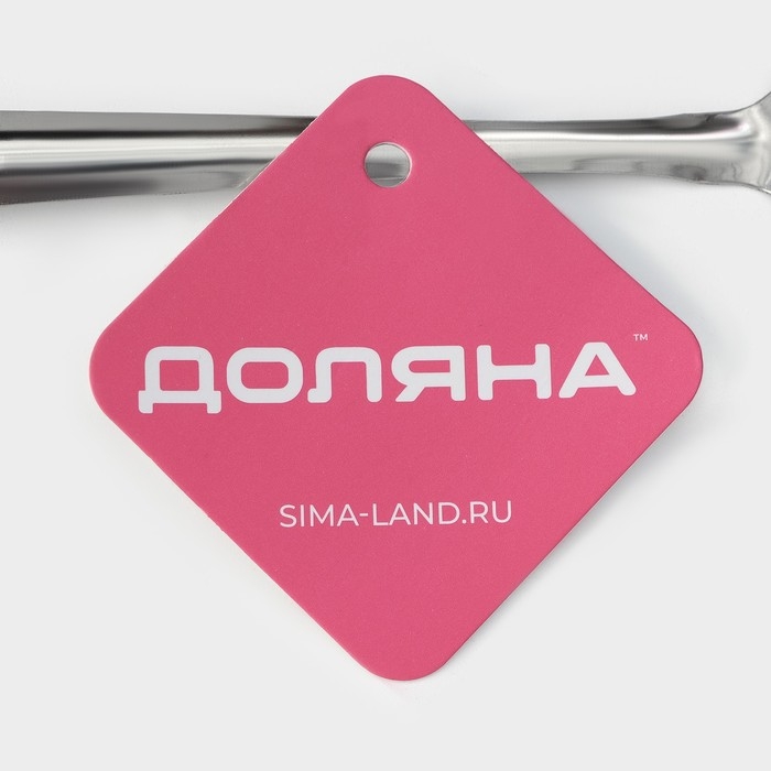 Сито для снятия пены Доляна «Металлик», 24×7,5 см, цвет серебристый Сито для снятия пены Доляна «Металлик», 24×7,5 см, цвет серебристый