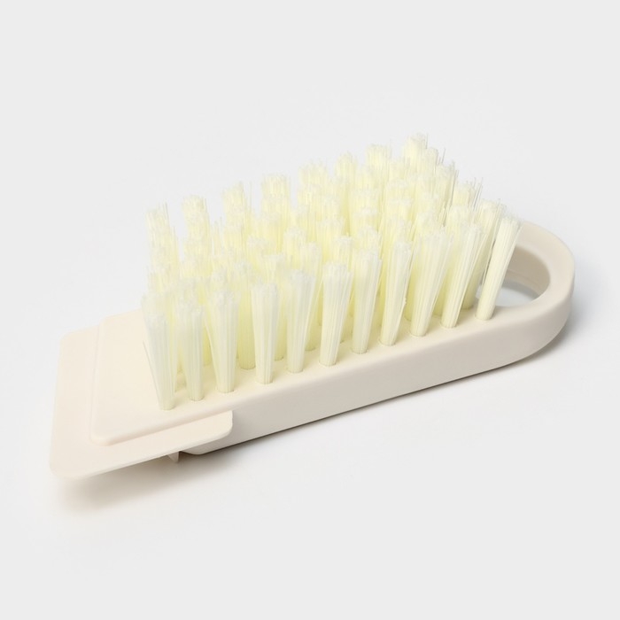 Щётка универсальная Raccoon Breeze, в одном корпусе со скребком, 14 см, цвет МИКС Щётка универсальная Raccoon Breeze, в одном корпусе со скребком, 14 см, цвет МИКС