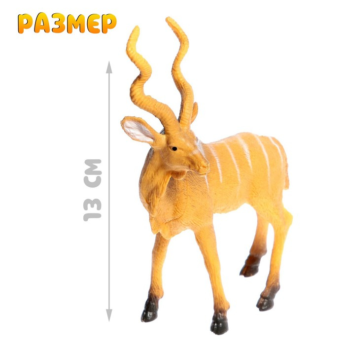 Набор животных «Лесные звери», 6 фигурок