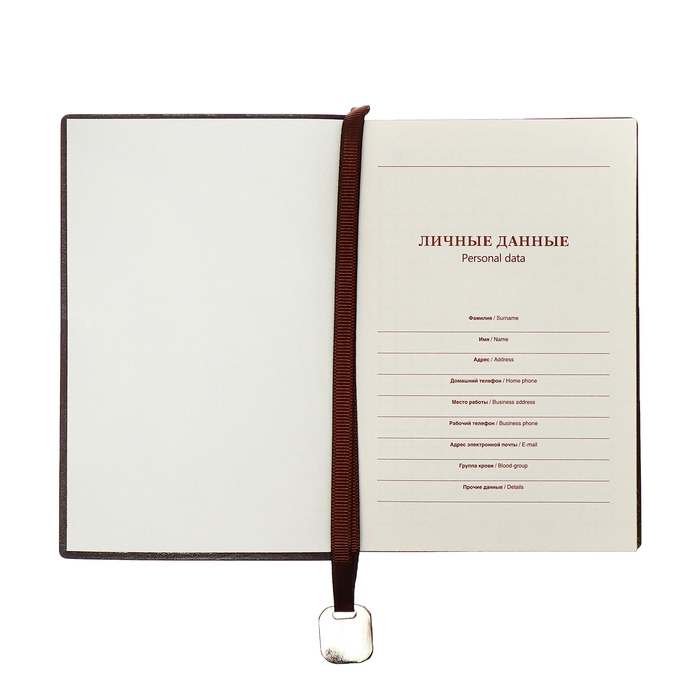 Органайзер, А6, 116 листов, клетка, обложка кожзам, коричневый срез, синий Органайзер, А6, 116 листов, клетка, обложка кожзам, коричневый срез, синий