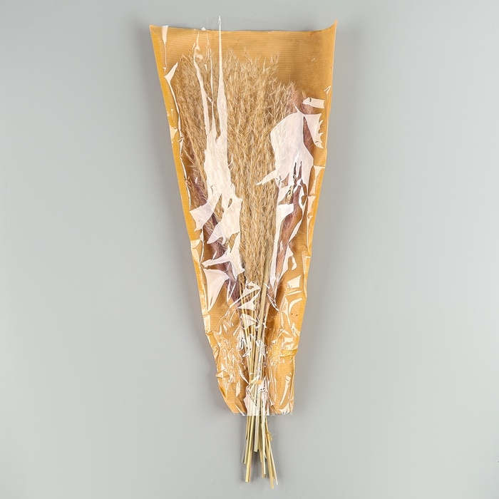 Сухоцветы «Лагурус», набор из 3 видов, 48 × 16 × 6 см