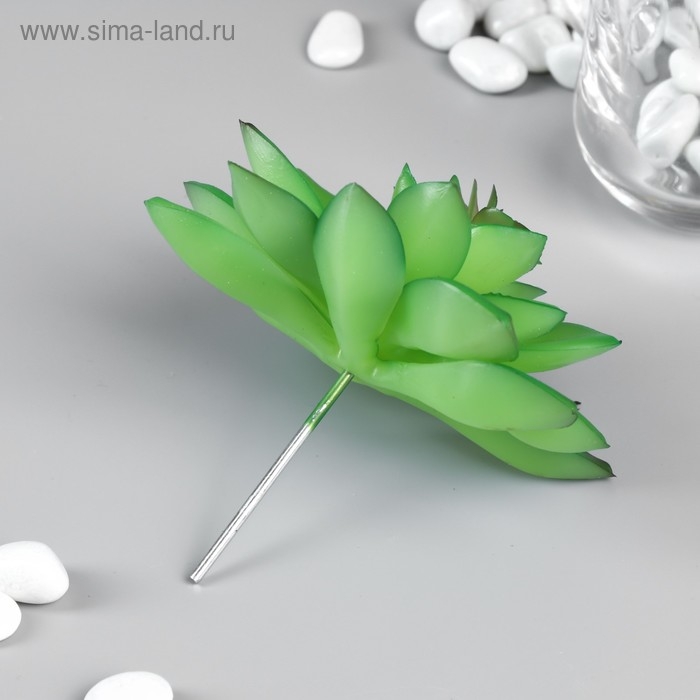 Искусственный суккулент для создания флорариума Искусственный суккулент для создания флорариума "Молодило Silver Song" 10,5х10х10 см