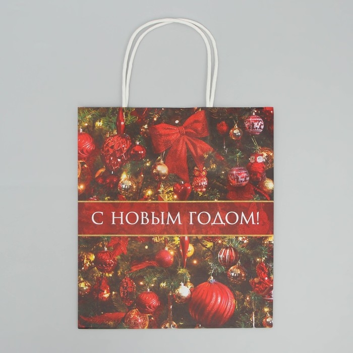 Пакет подарочный новогодний крафтовый «С Новым годом!», 22 х 25 х 12 см, Новый год Пакет подарочный новогодний крафтовый «С Новым годом!», 22 х 25 х 12 см, Новый год