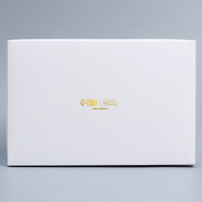 Коробка кондитерская для муссовых пирожных «Present», 27 х 17.8 х 6.5 см Коробка кондитерская для муссовых пирожных «Present», 27 х 17.8 х 6.5 см