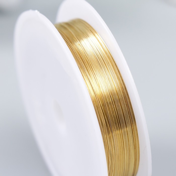 Проволока для творчества  Проволока для творчества "Astra" 0,25 мм, 10 м, золото