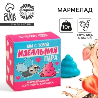 Мармелад фигурный какашка «Идеальная пара», 1 шт. х 10 г.