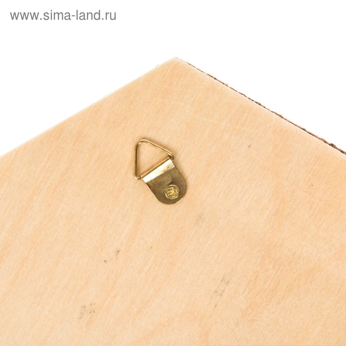 Органайзер настенный пробковый Органайзер настенный пробковый "Соты"