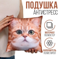 Подушка антистресс "Кот"