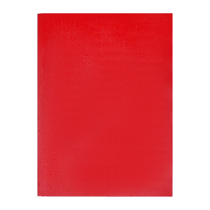 Тетрадь А4 96 листов в клетку Calligrata VIGO бумвинил VA0505 (Soft-touch), красный, блок офсет Тетрадь А4 96 листов в клетку Calligrata VIGO бумвинил VA0505 (Soft-touch), красный, блок офсет