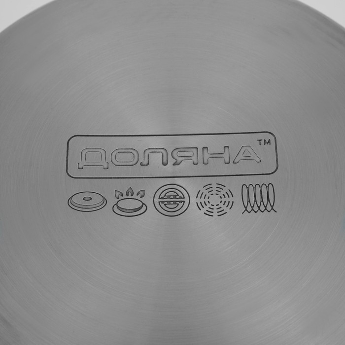 Кастрюля из нержавеющей стали Доляна «Гретте», 4,2 л, d=22 см, с крышкой, капсульное дно, индукция Кастрюля из нержавеющей стали Доляна «Гретте», 4,2 л, d=22 см, с крышкой, капсульное дно, индукция