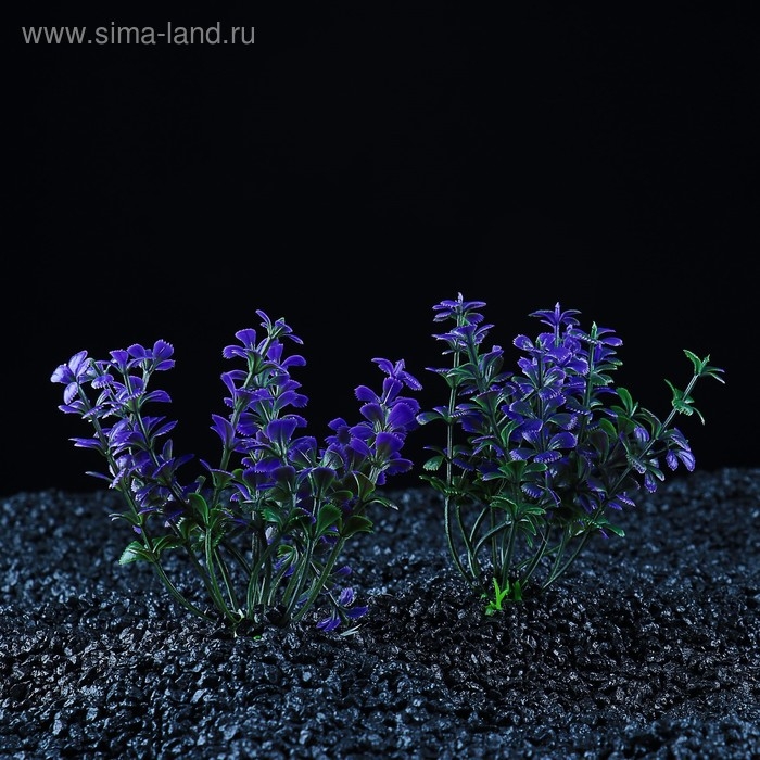 Набор растений искусственных для аквариума (2 шт), 10 см Набор растений искусственных для аквариума (2 шт), 10 см