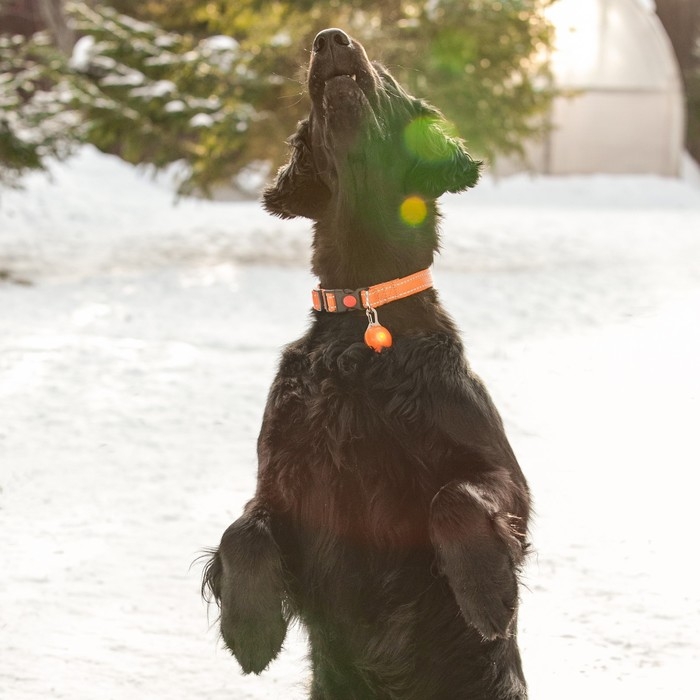 Маячок Сфера 3 режима свечения оранжевый Маячок Сфера 3 режима свечения оранжевый