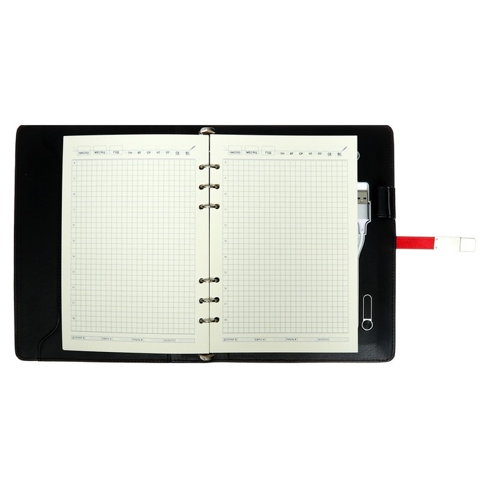 Органайзер на кольцах,ПВХ,А5,140 л, клетка,с ручкой,подар. короб,флешка,зарядка,МИКС Органайзер на кольцах,ПВХ,А5,140 л, клетка,с ручкой,подар. короб,флешка,зарядка,МИКС