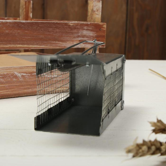 Мышеловка-ловушка (клетка), 13 × 6 × 6 см, металл Мышеловка-ловушка (клетка), 13 × 6 × 6 см, металл