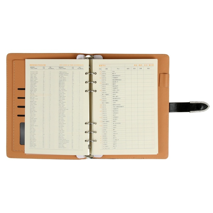 Органайзер на кольцах А5, 90 листов в линейку, с хлястиком, МИКС Органайзер на кольцах А5, 90 листов в линейку, с хлястиком, МИКС